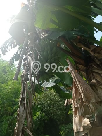 Lahan Kosong Dijual di Bogor dengan Area 4456m2 Lahan Kosong Dijual di Bogor dengan Area 4456m2