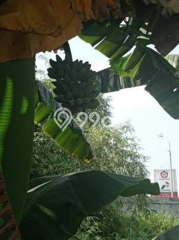 Lahan Kosong Dijual di Bogor dengan Area 4456m2 Lahan Kosong Dijual di Bogor dengan Area 4456m2