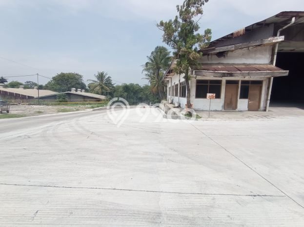 Gudang bagus disewakan di Citeureup Bogor dengan LB 14017m2 harga sewa terbaik Gudang bagus disewakan di Citeureup Bogor dengan LB 14017m2 harga sewa terbaik