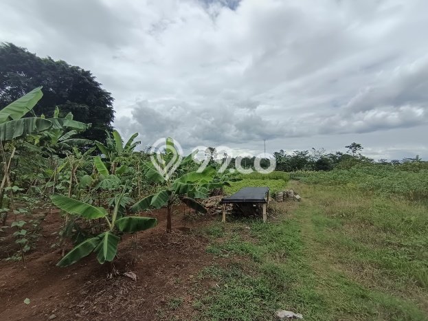 Tanah Strategis Dijual di Citeureup Bogor 6500m2 Tanah Strategis Dijual di Citeureup Bogor 6500m2