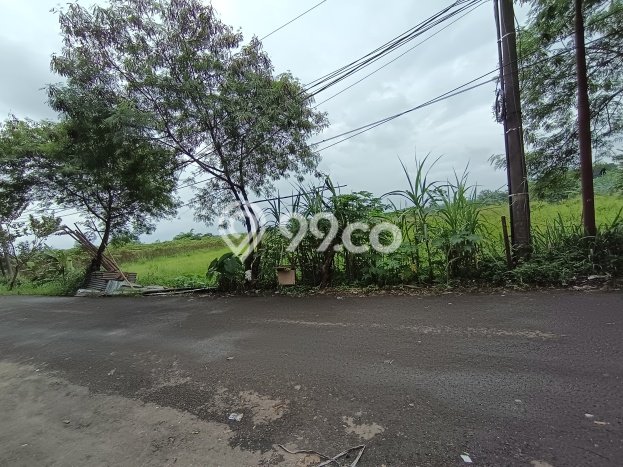 Tanah Disewakan Lokasi Bogor Seluas 10000m2 Strategis dan Aman Tanah Disewakan Lokasi Bogor Seluas 10000m2 Strategis dan Aman