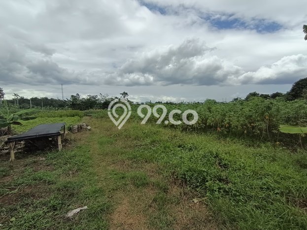 Tanah Strategis Dijual di Citeureup Bogor 6500m2 Tanah Strategis Dijual di Citeureup Bogor 6500m2