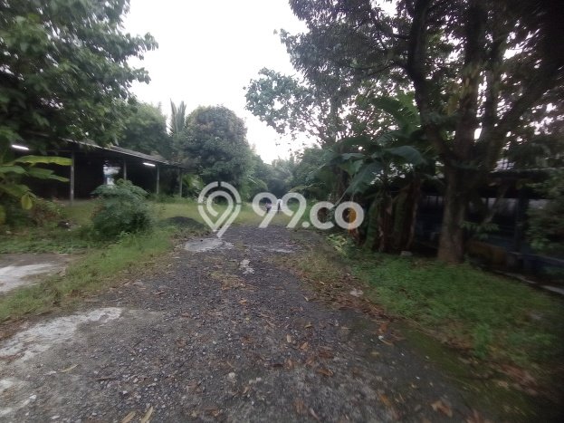 Lahan Disewakan di Cibinong, Bogor, Luas 2250m2 SHM Lahan Disewakan di Cibinong, Bogor, Luas 2250m2 SHM