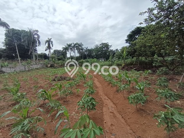 Tanah Strategis Dijual di Citeureup Bogor 6500m2 Tanah Strategis Dijual di Citeureup Bogor 6500m2