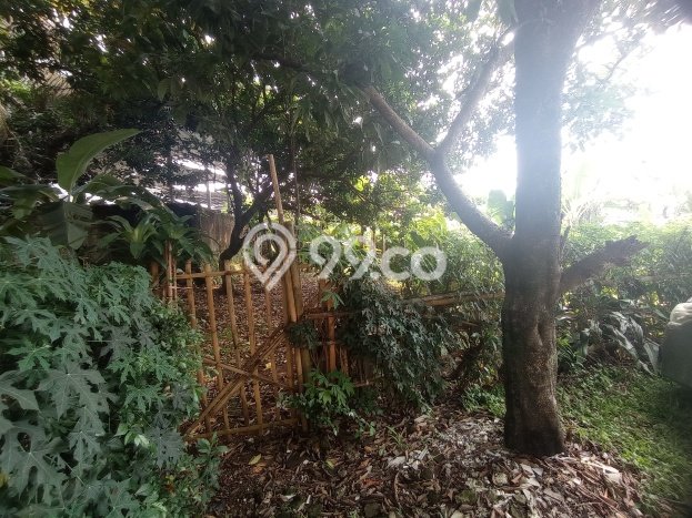 Tanah Kavling Dijual di Bogor dengan Spesifikasi 292m2 Tanah Kavling Dijual di Bogor dengan Spesifikasi 292m2