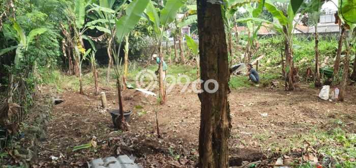 Tanah Kavling Dijual di Bogor dengan Spesifikasi 292m2 Tanah Kavling Dijual di Bogor dengan Spesifikasi 292m2
