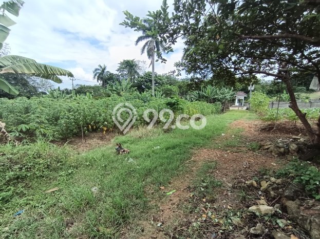 Tanah Strategis Dijual di Citeureup Bogor 6500m2 Tanah Strategis Dijual di Citeureup Bogor 6500m2