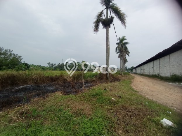 Lahan Disewakan di Cileungsi, Bogor, Luas 5000m2 SHM Lahan Disewakan di Cileungsi, Bogor, Luas 5000m2 SHM