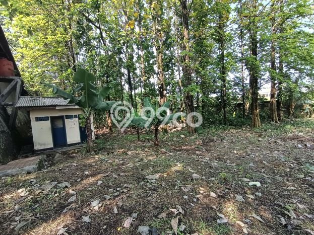 Lahan Strategis di Sukaraja Bogor Disewakan dengan Luas 7000m2 Lahan Strategis di Sukaraja Bogor Disewakan dengan Luas 7000m2