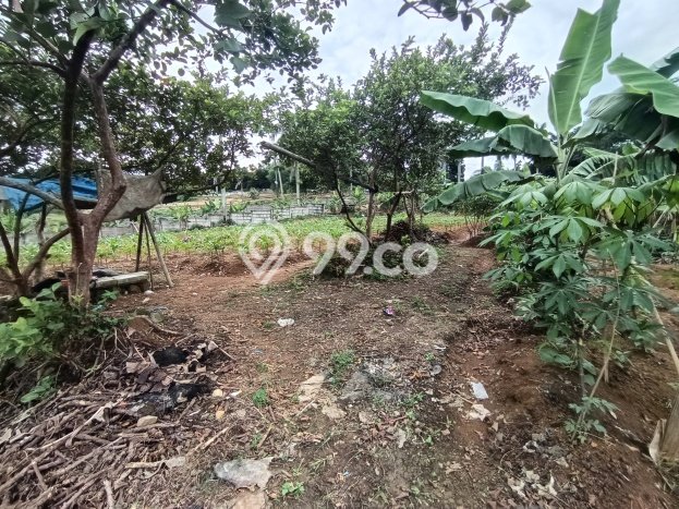 Tanah Strategis Dijual di Citeureup Bogor 6500m2 Tanah Strategis Dijual di Citeureup Bogor 6500m2