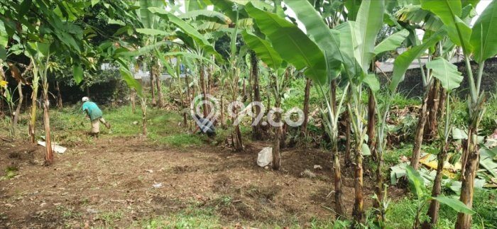 Tanah Kavling Dijual di Bogor dengan Spesifikasi 292m2 Tanah Kavling Dijual di Bogor dengan Spesifikasi 292m2