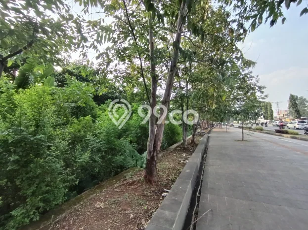 Tanah Disewa Strategis di Bogor Luas 43000m2 Tanah Disewa Strategis di Bogor Luas 43000m2