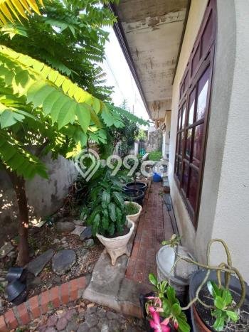 Rumah Elit Modern Siap Huni di Pulo Asem Jakarta Timur Rumah Elit Modern Siap Huni di Pulo Asem Jakarta Timur