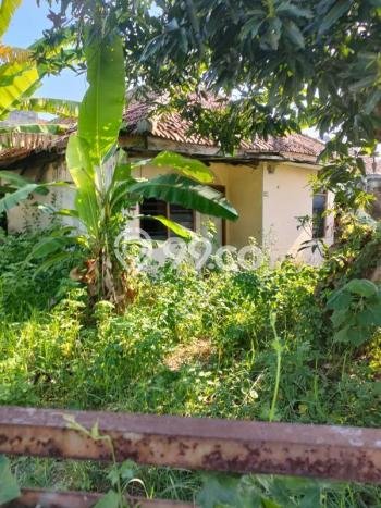 Kavling Tanah di Semarang Timur Dijual Luas 254m2 Legalitas SHM Kavling Tanah di Semarang Timur Dijual Luas 254m2 Legalitas SHM