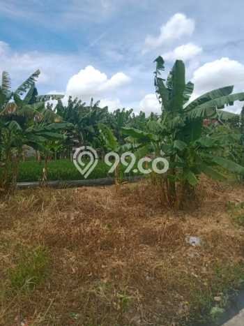 Tanah Kavling di Cibitung Dijual dengan Luas 1290m2 Tanah Kavling di Cibitung Dijual dengan Luas 1290m2