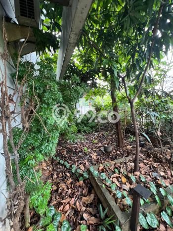 Siap Huni Rumah Mewah 1 Kamar di Kelapa Gading Dekat ke Mana Pun Siap Huni Rumah Mewah 1 Kamar di Kelapa Gading Dekat ke Mana Pun