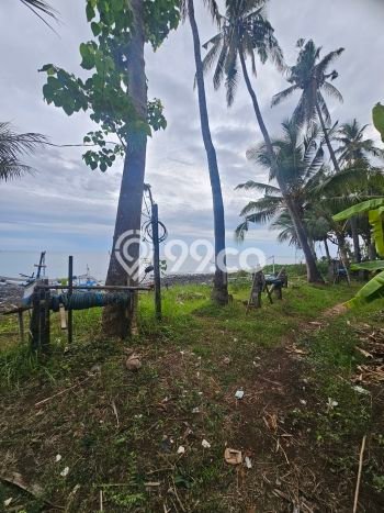 Siap Disewakan Tanah di Tejakula Luas 4000m2 Area Potensial Siap Disewakan Tanah di Tejakula Luas 4000m2 Area Potensial