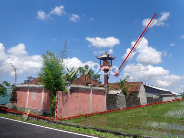Tanah Dijual Lokasi Mengwi, Badung Luas 3300m2 Legalitas Aman Tanah Dijual Lokasi Mengwi, Badung Luas 3300m2 Legalitas Aman