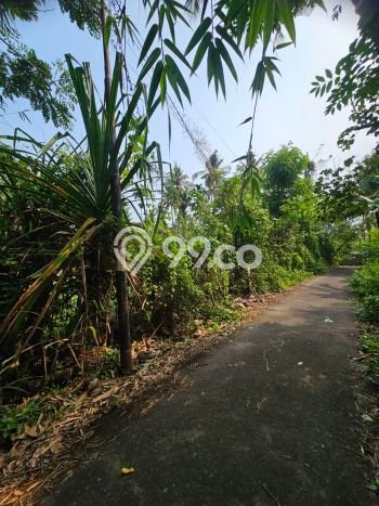 Tanah Dijual di Buleleng Seluas 400m2 Strategis Tanah Dijual di Buleleng Seluas 400m2 Strategis