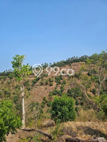 Tanah di Buleleng, Buleleng Luas 25000m2 Dijual Segera Tanah di Buleleng, Buleleng Luas 25000m2 Dijual Segera