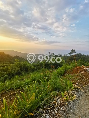 Disewakan Tanah Lokasi Strategis di Tejakula Buleleng 50000m2 Disewakan Tanah Lokasi Strategis di Tejakula Buleleng 50000m2