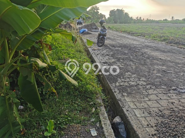 Untuk Dijual Tanah di Kediri Tabanan Luas 117m2 SHM Untuk Dijual Tanah di Kediri Tabanan Luas 117m2 SHM