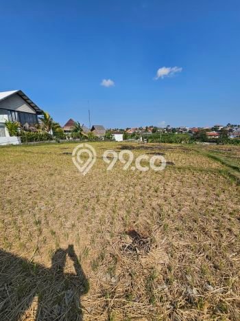 Untuk Disewa Tanah di canggu Badung Seluas 5400m2 Untuk Disewa Tanah di canggu Badung Seluas 5400m2