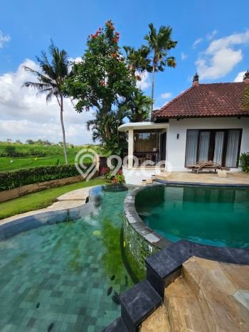 Hunian Nyaman 0 KT di Canggu, Badung - Luas Tanah 600m² Hunian Nyaman 0 KT di Canggu, Badung - Luas Tanah 600m²