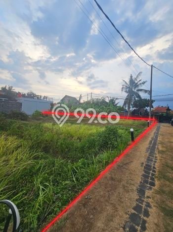 Tanah Siap Bangun Dijual di Badung Punya Luas 1725m2 Tanah Siap Bangun Dijual di Badung Punya Luas 1725m2