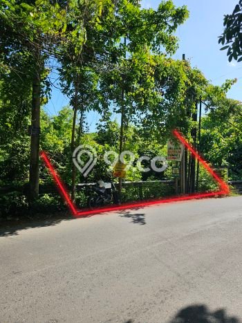 Tanah untuk Disewa di Badung Luas 2000m2 Tanah untuk Disewa di Badung Luas 2000m2