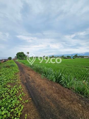 Kavling Tanah untuk Dijual di Singaraja, Buleleng, Luas 23910m2 Kavling Tanah untuk Dijual di Singaraja, Buleleng, Luas 23910m2