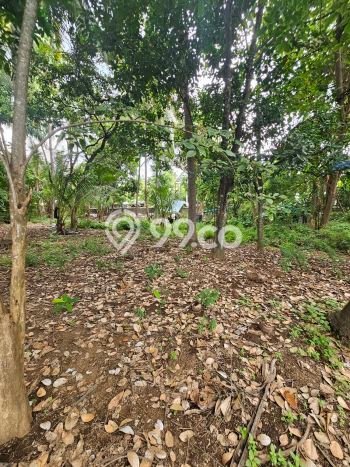 Dijual Tanah Lokasi Prima Kawasan Singaraja, Luas 3200m², Dekat Singaraja, Buleleng, Buleleng Dijual Tanah Lokasi Prima Kawasan Singaraja, Luas 3200m², Dekat Singaraja, Buleleng, Buleleng