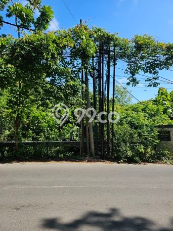 Tanah Area Prospektif Kawasan , Luas 1700m2m², Dekat ke Pusat Kota, Akses Badung, Badung Tanah Area Prospektif Kawasan , Luas 1700m2m², Dekat ke Pusat Kota, Akses Badung, Badung