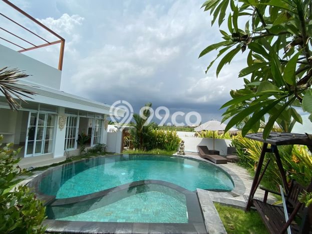 Jarang Ada! Rumah Kontrakan 2 Kamar Nyaman Siap Huni canggu Jarang Ada! Rumah Kontrakan 2 Kamar Nyaman Siap Huni canggu