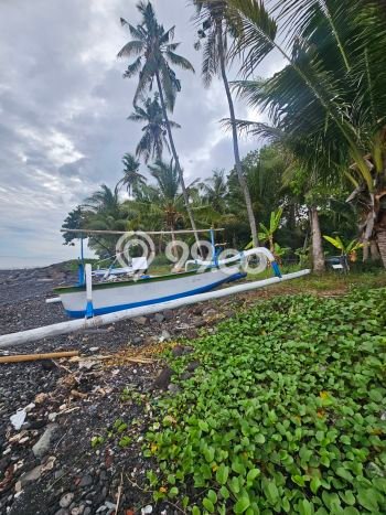 Siap Disewakan Tanah di Tejakula Luas 4000m2 Area Potensial Siap Disewakan Tanah di Tejakula Luas 4000m2 Area Potensial