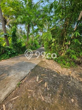 Tanah Dijual di Buleleng Seluas 400m2 Strategis Tanah Dijual di Buleleng Seluas 400m2 Strategis