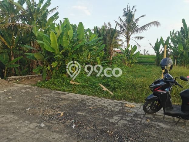 Disewakan Tanah Seluas 115m2 di Kediri, Tabanan Disewakan Tanah Seluas 115m2 di Kediri, Tabanan