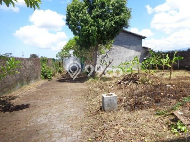 Tanah Dijual Lokasi Mengwi, Badung Luas 3300m2 Legalitas Aman Tanah Dijual Lokasi Mengwi, Badung Luas 3300m2 Legalitas Aman