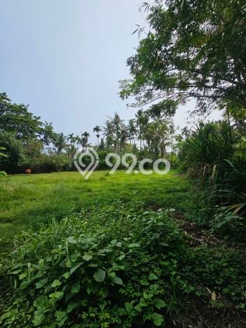 Tanah Dijual di Buleleng Seluas 400m2 Strategis Tanah Dijual di Buleleng Seluas 400m2 Strategis
