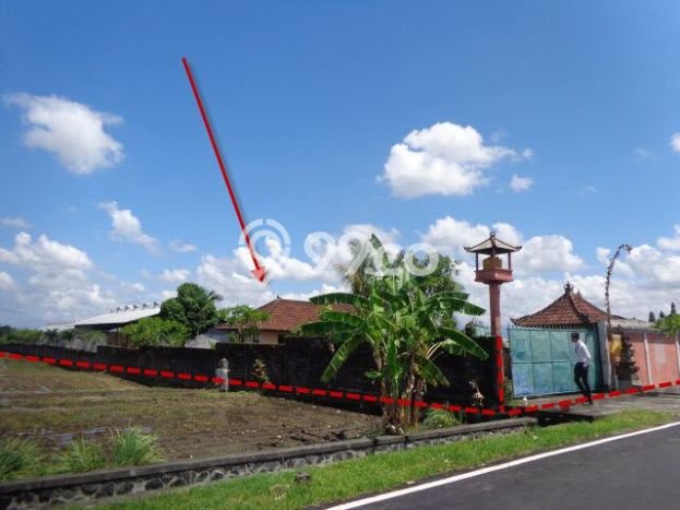 Tanah Dijual Lokasi Mengwi, Badung Luas 3300m2 Legalitas Aman Tanah Dijual Lokasi Mengwi, Badung Luas 3300m2 Legalitas Aman