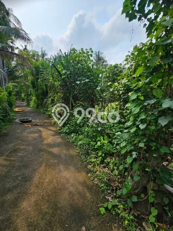 Tanah Dijual di Buleleng Seluas 400m2 Strategis Tanah Dijual di Buleleng Seluas 400m2 Strategis