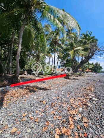 Tanah Dijual Lokasi Buleleng, Buleleng Luas 5000m2 Legalitas Aman Tanah Dijual Lokasi Buleleng, Buleleng Luas 5000m2 Legalitas Aman