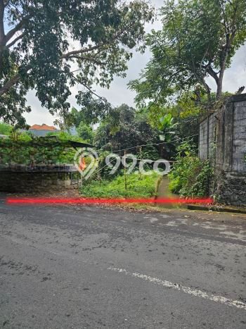 Tanah Dijual Area Strategis di canggu Badung 370m2 Tanah Dijual Area Strategis di canggu Badung 370m2