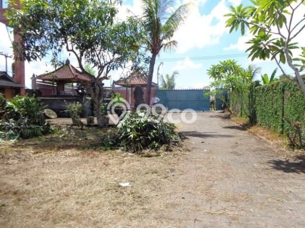Tanah Dijual Lokasi Mengwi, Badung Luas 3300m2 Legalitas Aman Tanah Dijual Lokasi Mengwi, Badung Luas 3300m2 Legalitas Aman