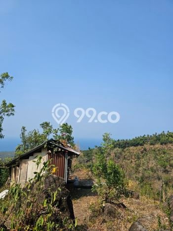 Tanah di Buleleng, Buleleng Luas 25000m2 Dijual Segera Tanah di Buleleng, Buleleng Luas 25000m2 Dijual Segera