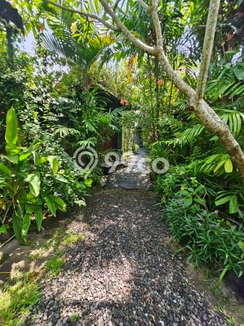 Tanah Kavling Dijual di Badung dengan Spesifikasi 2000m2 Tanah Kavling Dijual di Badung dengan Spesifikasi 2000m2