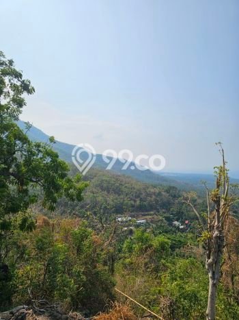 Tanah di Buleleng, Buleleng Luas 25000m2 Dijual Segera Tanah di Buleleng, Buleleng Luas 25000m2 Dijual Segera