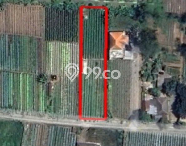 Tanah Kavling Dijual di Bedugul, Tabanan dengan Luas Tanah 2000m2 Tanah Kavling Dijual di Bedugul, Tabanan dengan Luas Tanah 2000m2