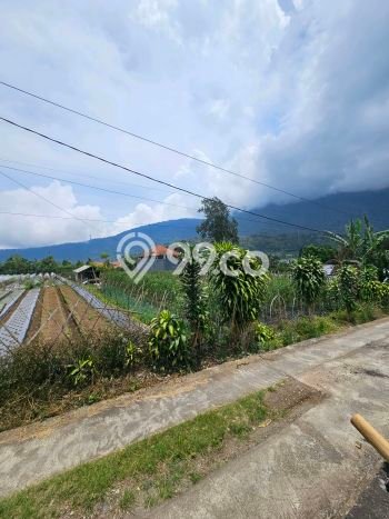 Tanah Kavling Dijual di Bedugul, Tabanan dengan Luas Tanah 2000m2 Tanah Kavling Dijual di Bedugul, Tabanan dengan Luas Tanah 2000m2