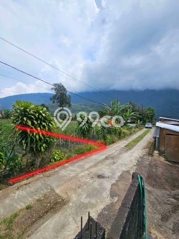 Tanah Kavling Dijual di Bedugul, Tabanan dengan Luas Tanah 2000m2 Tanah Kavling Dijual di Bedugul, Tabanan dengan Luas Tanah 2000m2